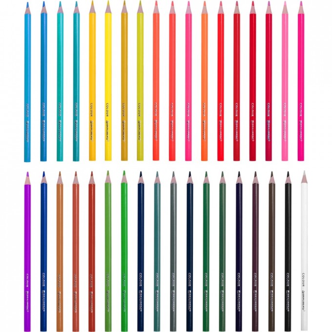 Цветные карандаши BRAUBERG 181945 8303883
